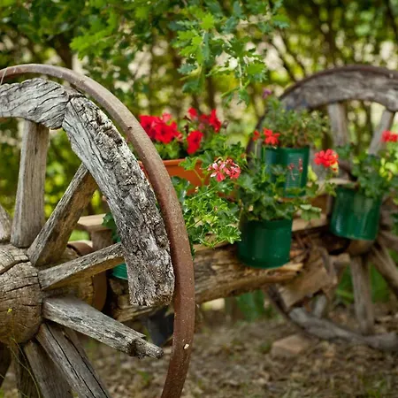 Titti * Terre Roveresche